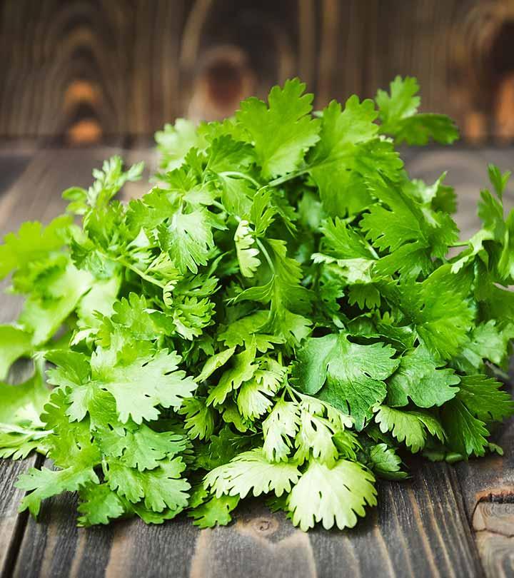 Coriander Leaves Benefits and Side Effects in Hindi