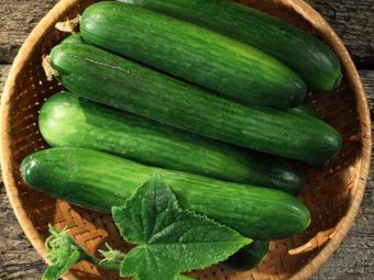 Cucumber (Kheera) Benefits and Side Effects in Hindi