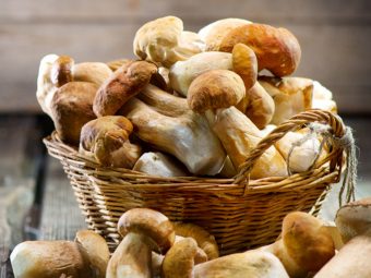 Mushroom Benefits, Uses and Side Effects in Hindi