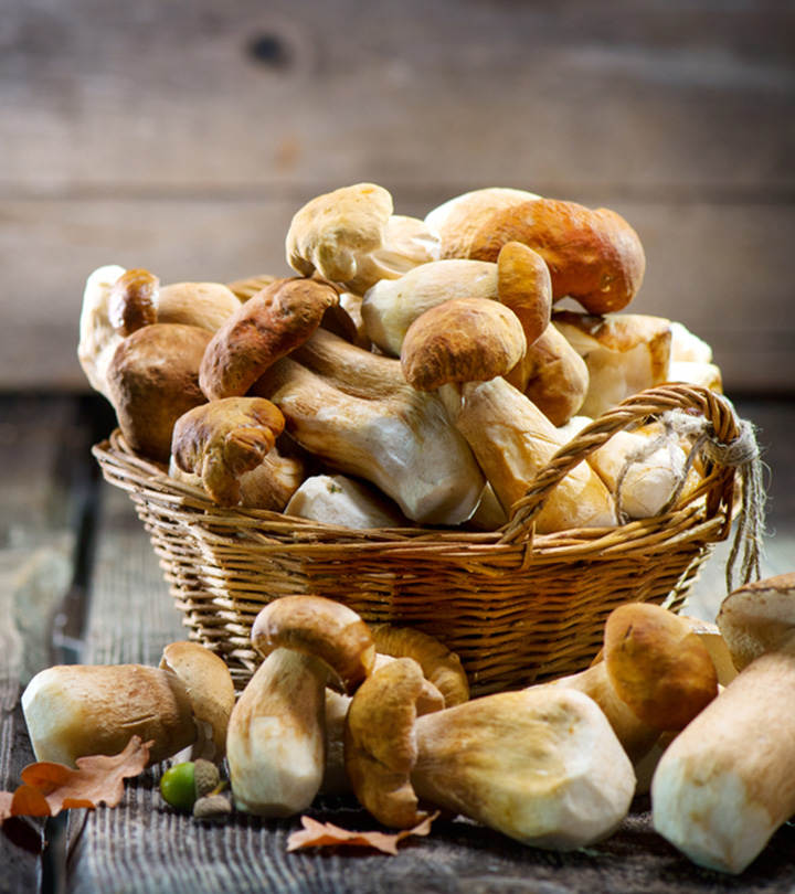 मशरूम खाने के 11 फायदे, उपयोग और नुकसान - Mushroom Benefits, Uses ...
