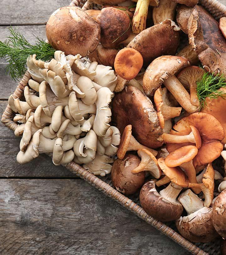 Mushroom Benefits, Uses and Side Effects in Hindi