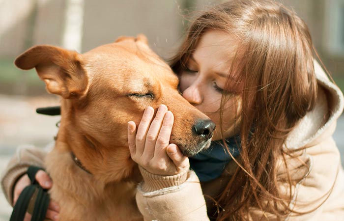 Oxytocin is often released when people interact with dogs.