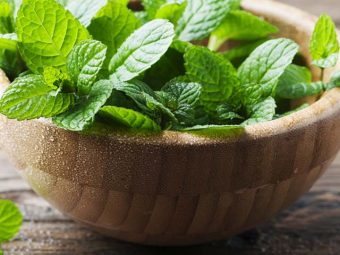Peppermint (Pudina) Benefits and Side Effects in Hindi