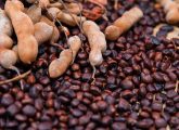 इमली के बीज के फायदे, उपयोग और नुकसान - Tamarind Seed Benefits ...