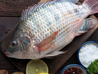 Tilapia Fish Benefits and Side Effects in Hindi