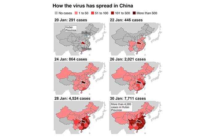 What Is Coronavirus