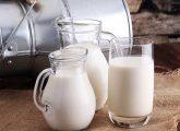 ऊंटनी के दूध के फायदे और नुकसान - Camel Milk Benefits and Side ...
