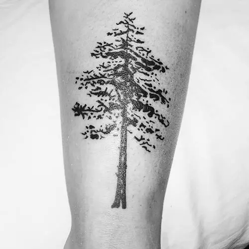 Cypress tree of life tattoo design