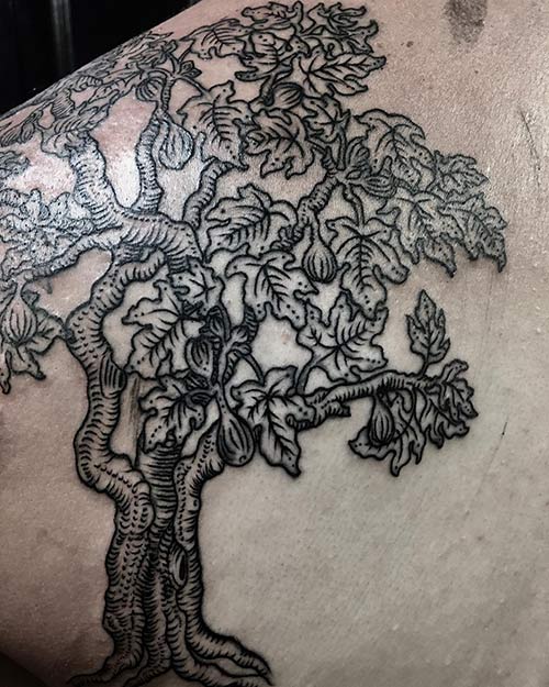 By stevesype  fig figtree nature health fruit figtattoo plant  vegan syconia leaves leaf leaftattoo tattoo black  Instagram