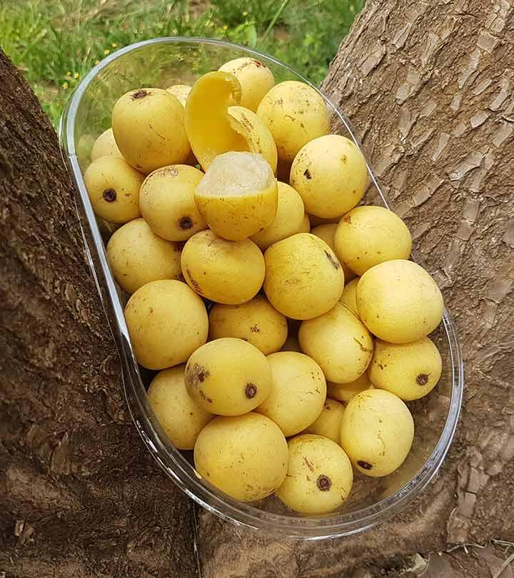 मारुला तेल के फायदे, उपयोग और नुकसान - Marula Oil Benefits, Uses and