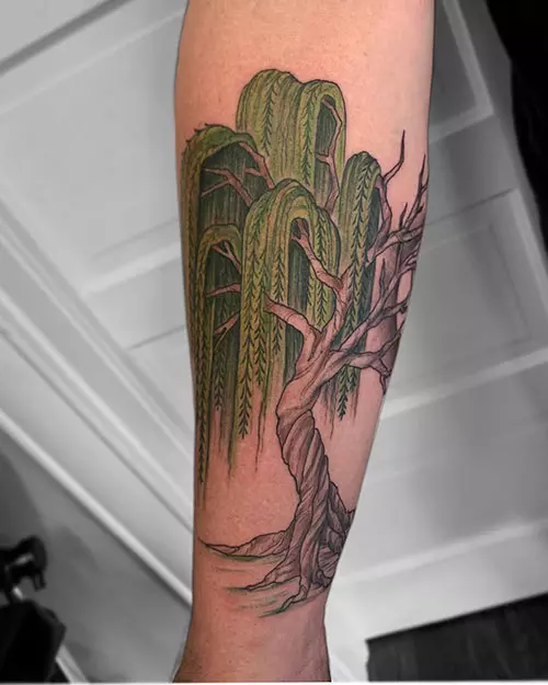 Willow tree of life tattoo design