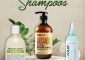 25 Best Sulfate-Free Drugstore Shampoos