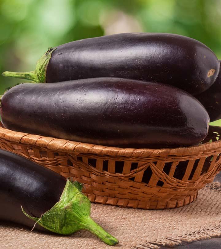 brinjal-egg-plant-in