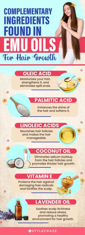 Complementary Ingredients Found In Emu Oils For Hair Growth (infographic)