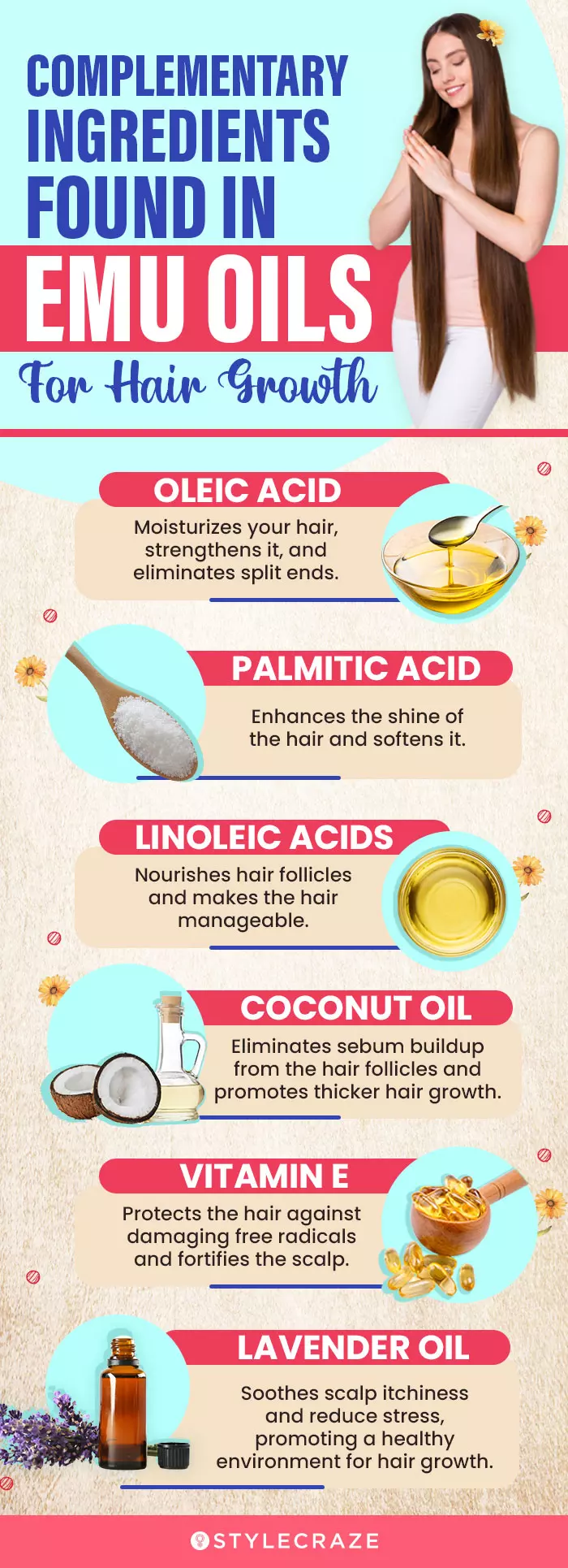 Complementary Ingredients Found In Emu Oils For Hair Growth (infographic)