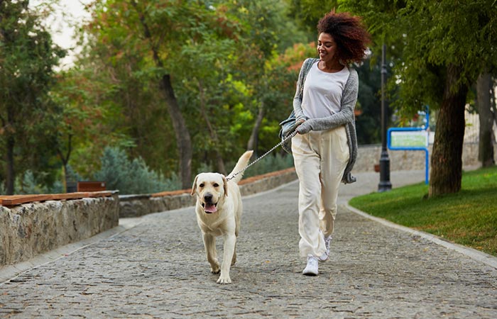 Walk your dog while taking 10,000 steps a day