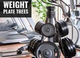 11 Best Weight Plate Trees
