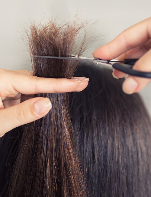 9 Simple Ways To Help You Cut Your Hair At Home