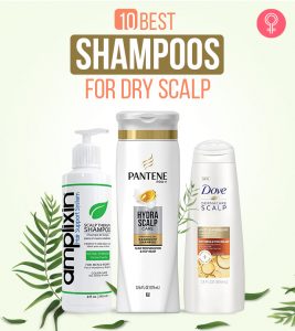 10 Best Shampoos For Dry Scalp (2022)...