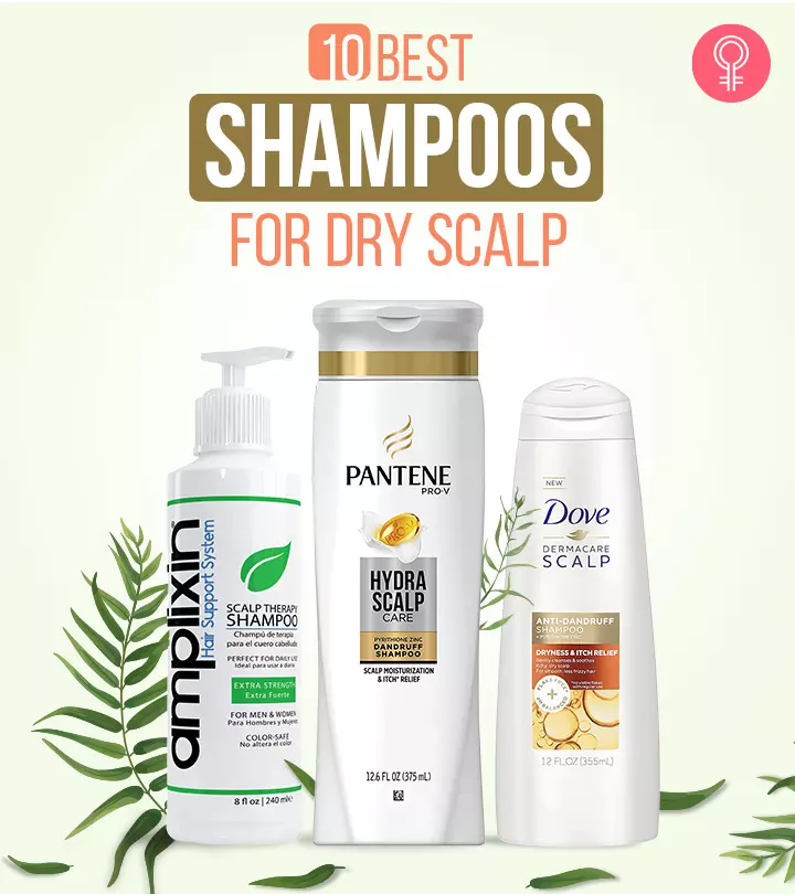 10 Best Shampoos For Dry Scalp – 2020