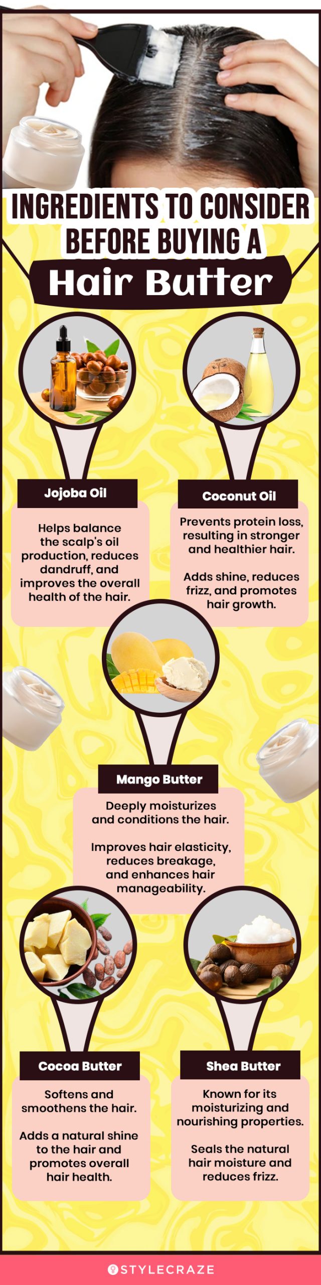 Ingredients To Consider Before Buying A Hair Butter (infographic)