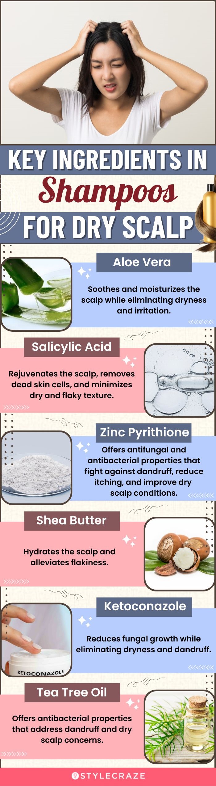 Key Ingredients In Shampoos For Dry Scalp (infographic)