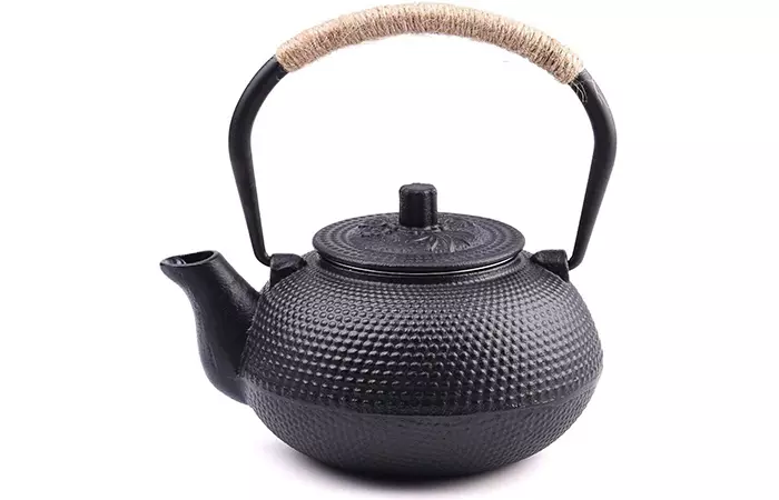 TOWA Workshop Japanese Tetsubin Cast Iron Teapot