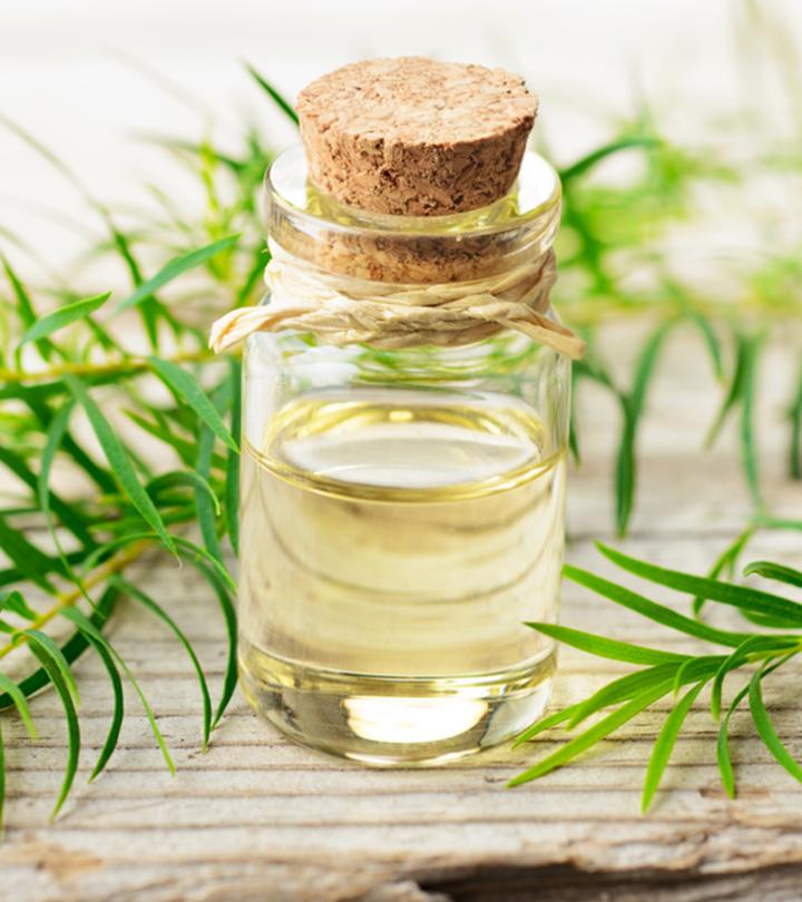 Tea Tree Oil Benefits and Side Effects