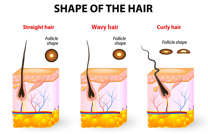 What Makes Hair Curly Or Wavy
