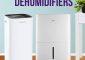 12 Best Dehumidifiers For Stuffy Basements
