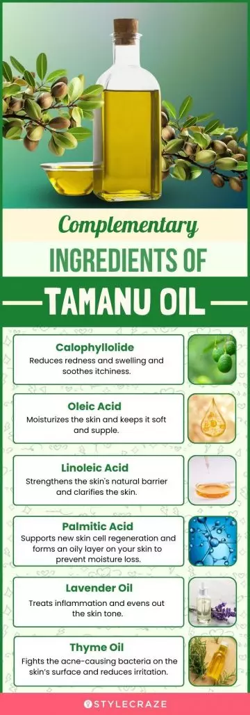 Complementary Ingredients Of Tamanu Oil (infographic)