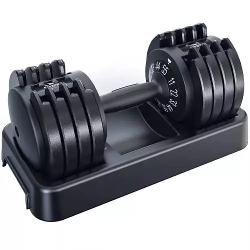 FLYBIRD 25 lbs Adjustable Dumbbell