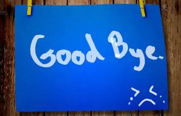 Funny Good Bye Quotes in Hindi1