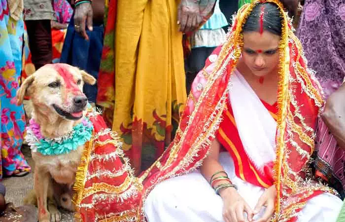 Humans “Marrying” Animals