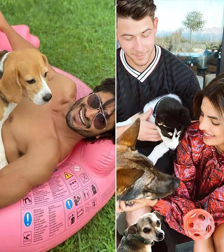 International Dogs Day 2020: Let’s Meet The Furry Pooches Of 9 Bollywood Celebrities