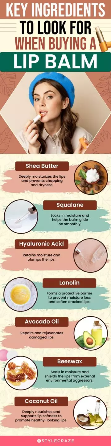 Key Ingredients To Look For When Buying A Lip Balm (infographic)