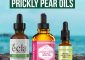 10 Best Prickly Pear Oils For Gorgeous Skin – 2023