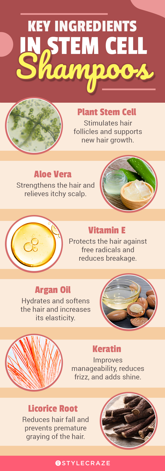 Key Ingredients In Stem Cell Shampoos (infographic)
