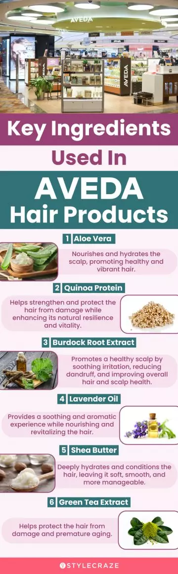 Key Ingredients Used In Aveda Hair Products (infographic)