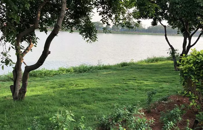 Minding Their Own Business