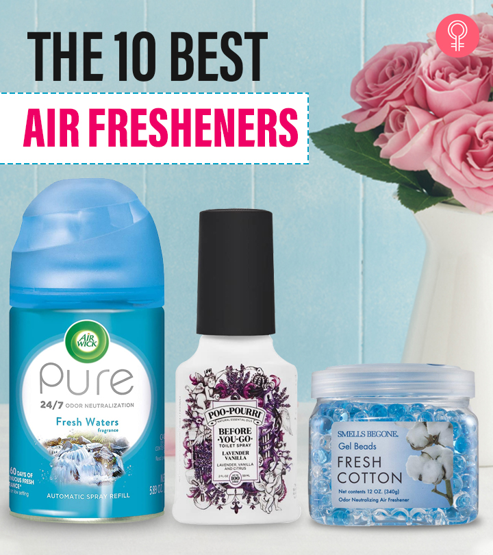 The 10 Best Air Fresheners – Reviews