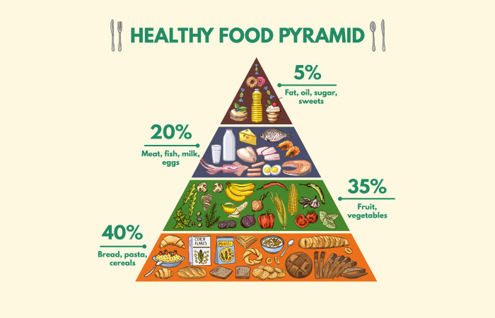 Why “The Food Pyramid” Is Important