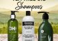 15 Best Tea Tree Oil Shampoos To Keep...