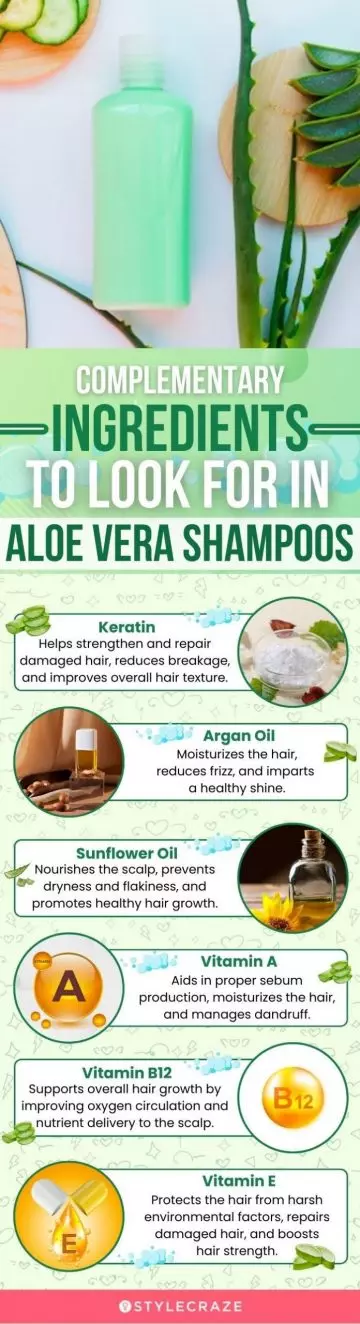 Complementary Ingredients To Look For In Aloe Vera Shampoos (infographic)