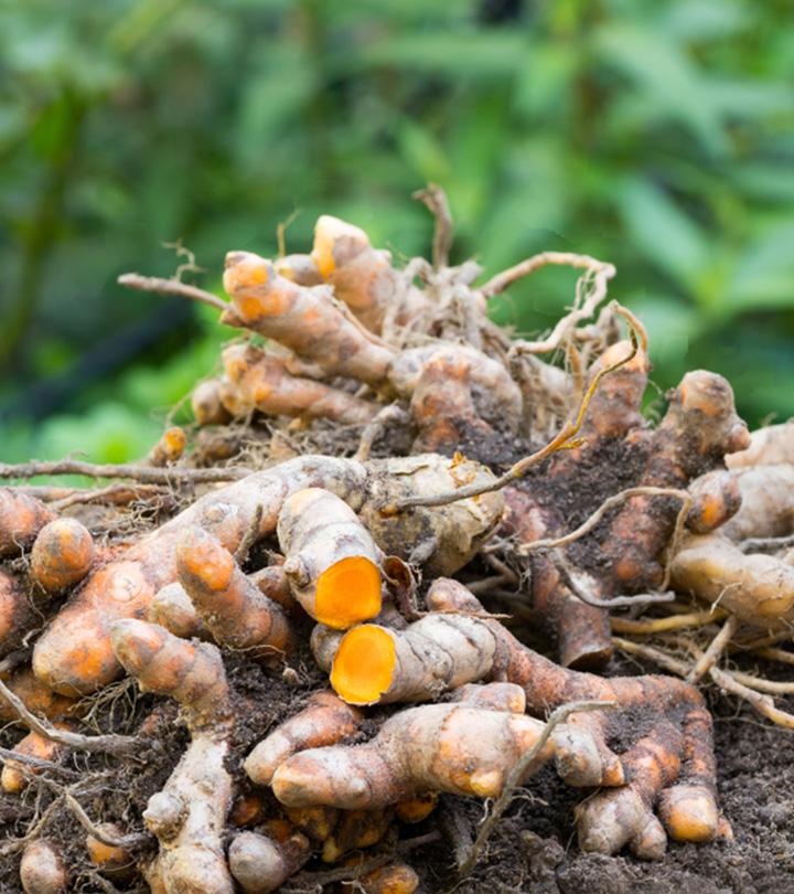 Health Benefits of Raw Turmeric