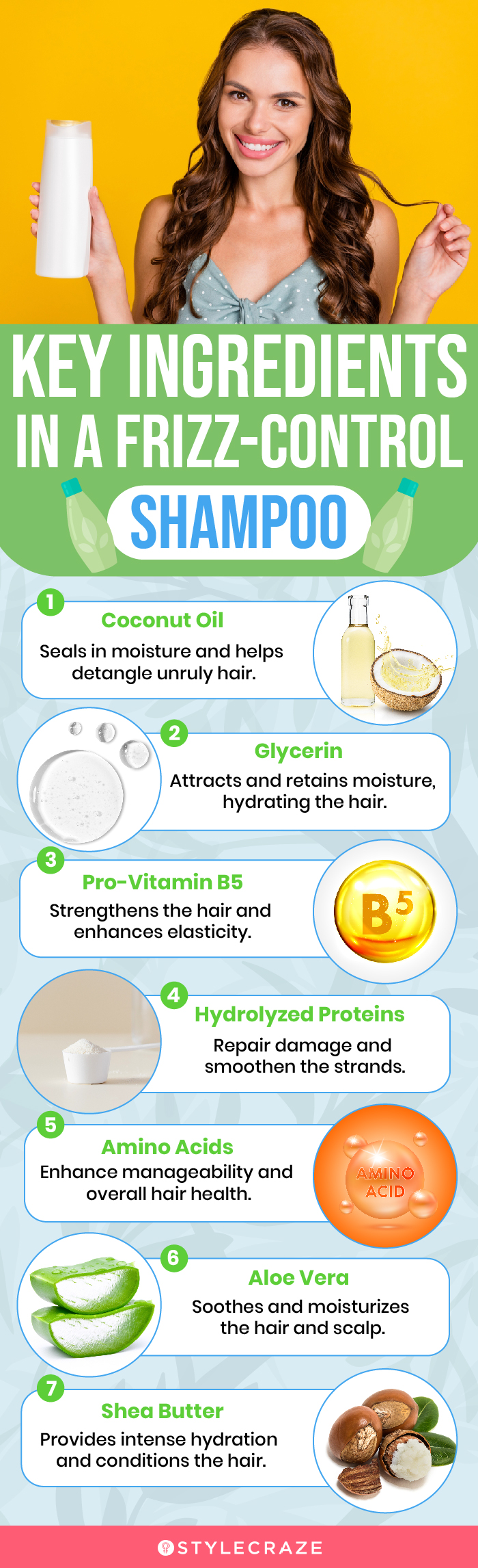 Key Ingredients In A Frizz-Control Shampoo (infographic)