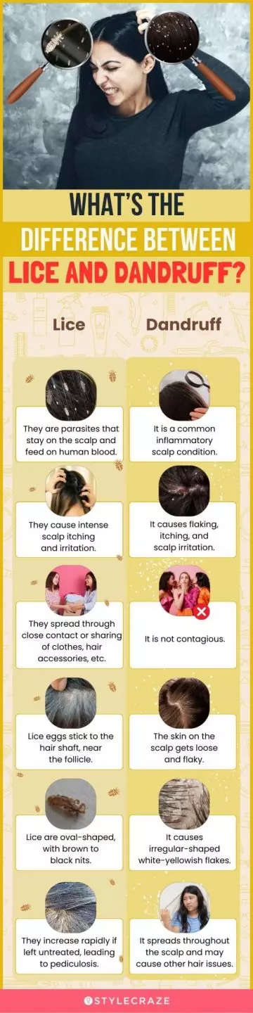 what’s the difference between lice and dandruff (infographic)