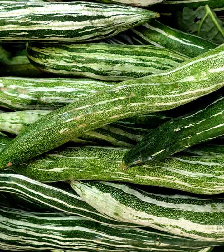 All About Snake Gourd (Chichinda) in Bengali