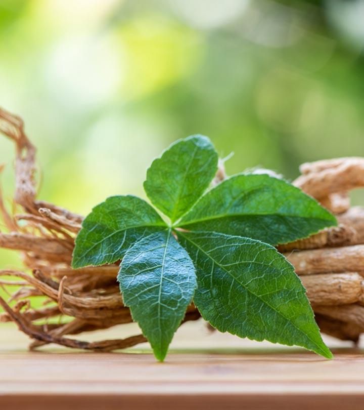 ஆண்மையை அதிகரிக்கும் ஜின்செங்.. சிறு தாவரம் தருமே பேரின்பம் – Benefits of Ginseng in Tamil