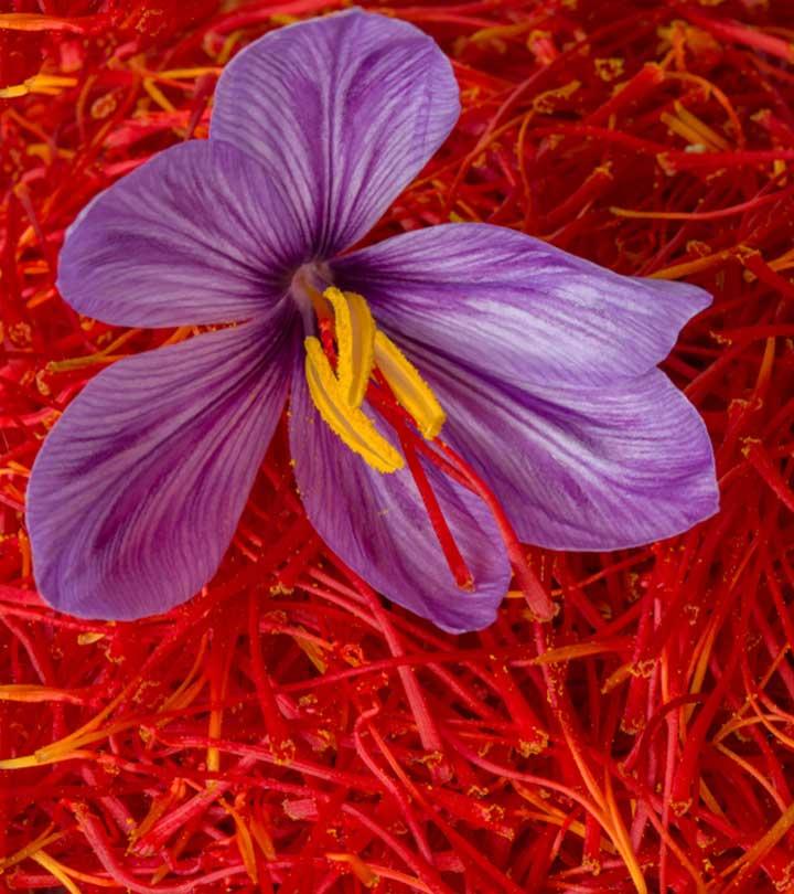 benefits-of-saffron-in-tamil